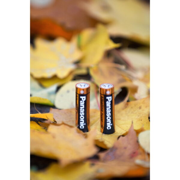 Panasonic LR06 Alkaline Battery AA * 20pcs