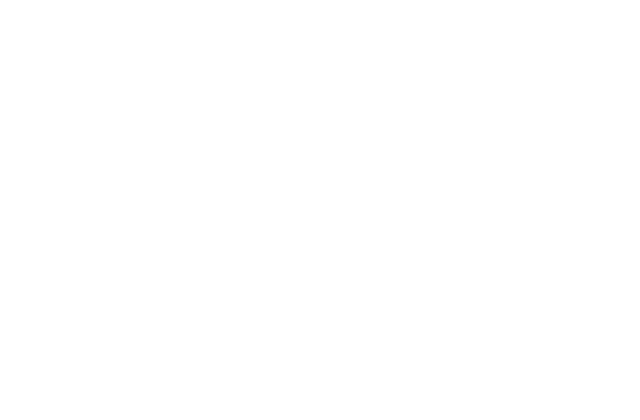 Logo Index94 Lifestyle Solutions, Inc